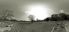 R0010299