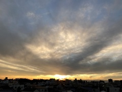 IMG_5031