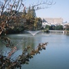 DSCF5617