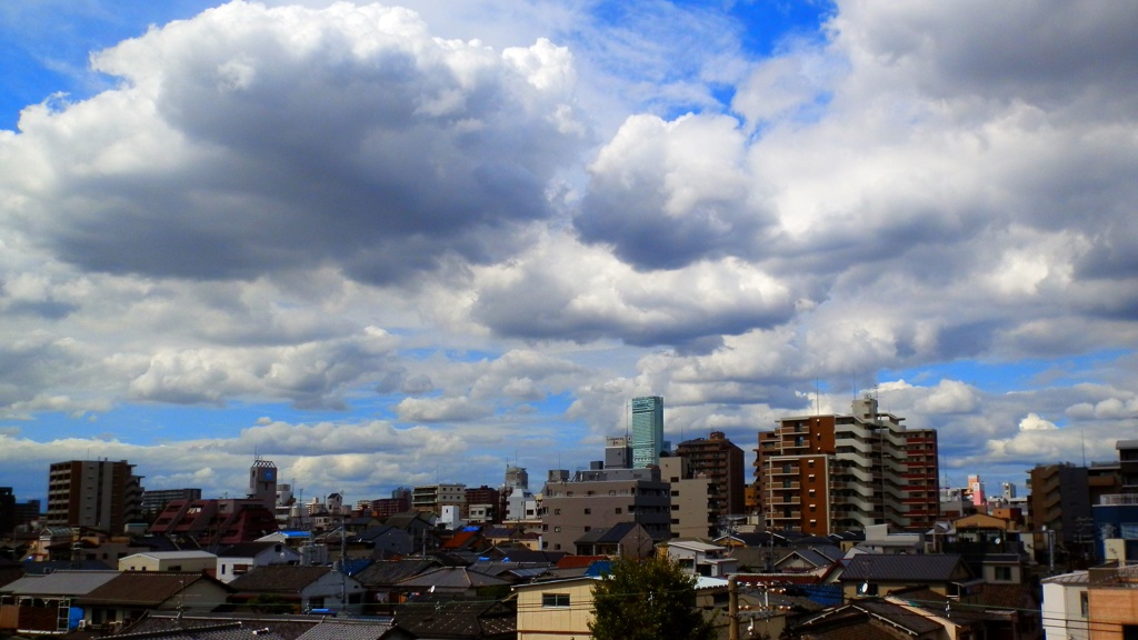 ハルカスと雲 (1)