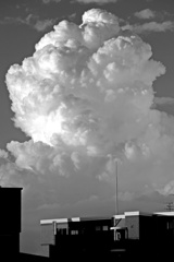 P1150131