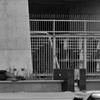 P1210045