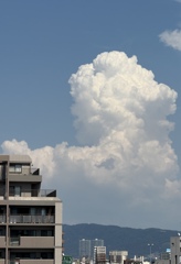 夏雲