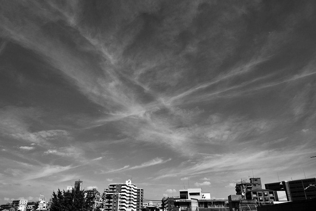 P1290886
