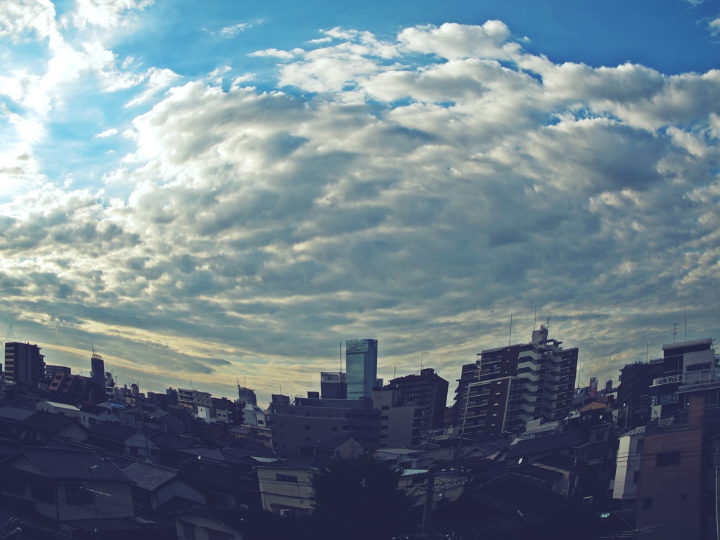 魚眼の空 (3)