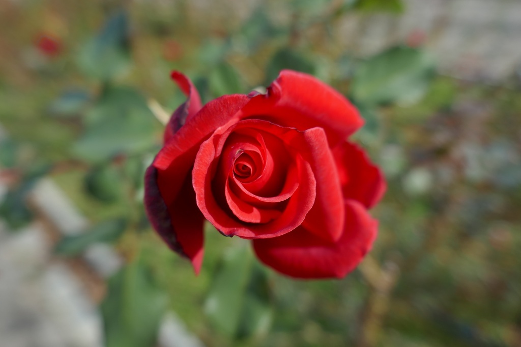 P1300748