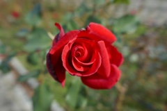 P1300748