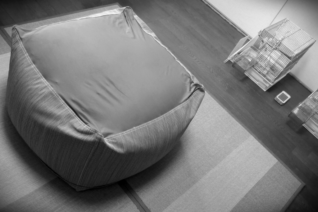 ○○をダメにするクッション