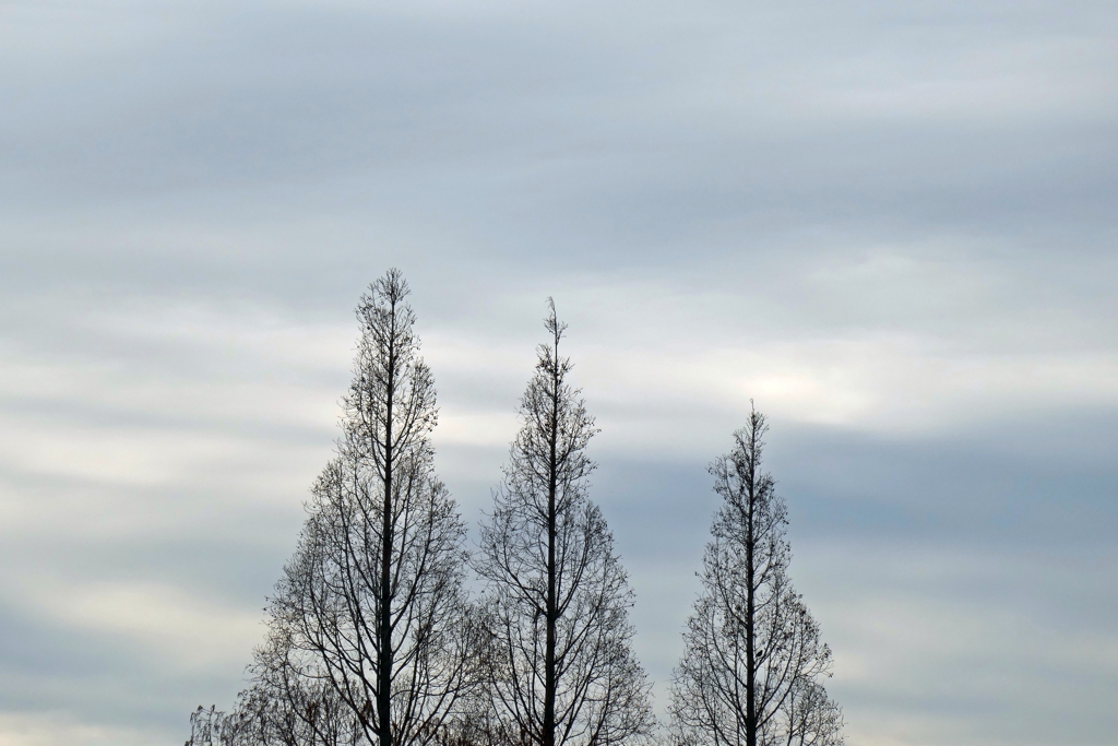 P1080933
