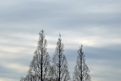 P1080933