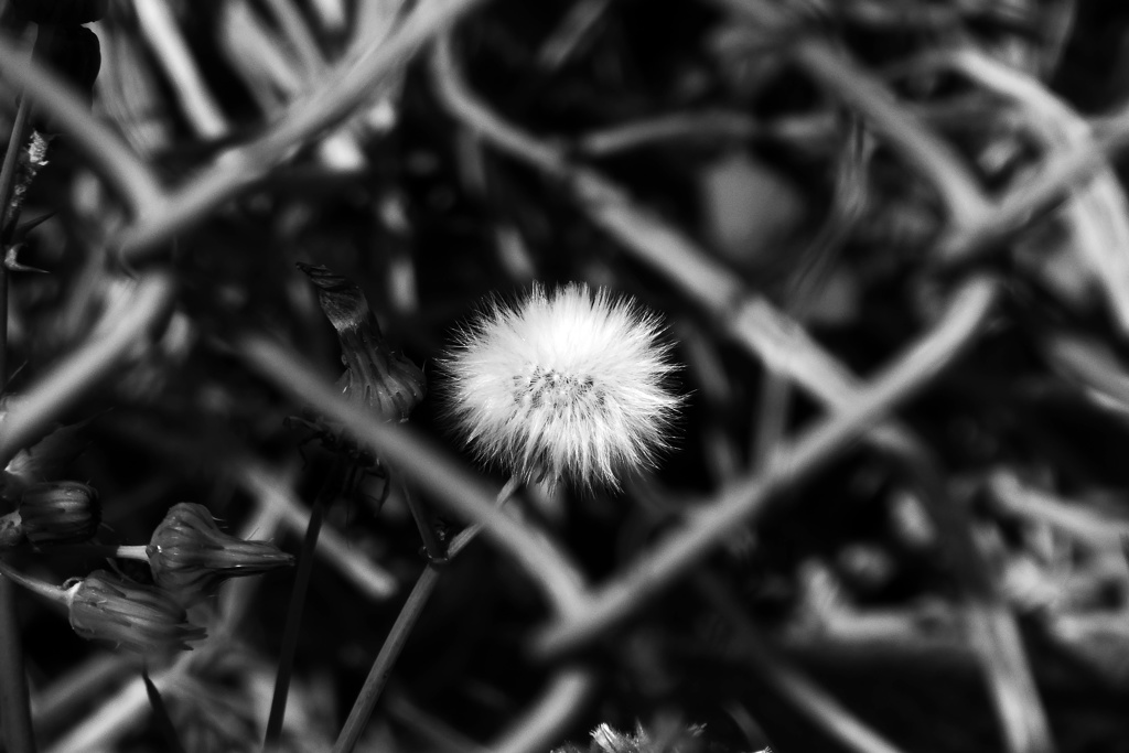P1090132