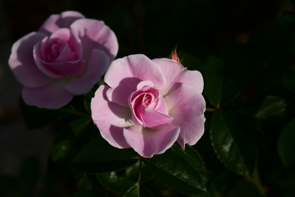P1300766