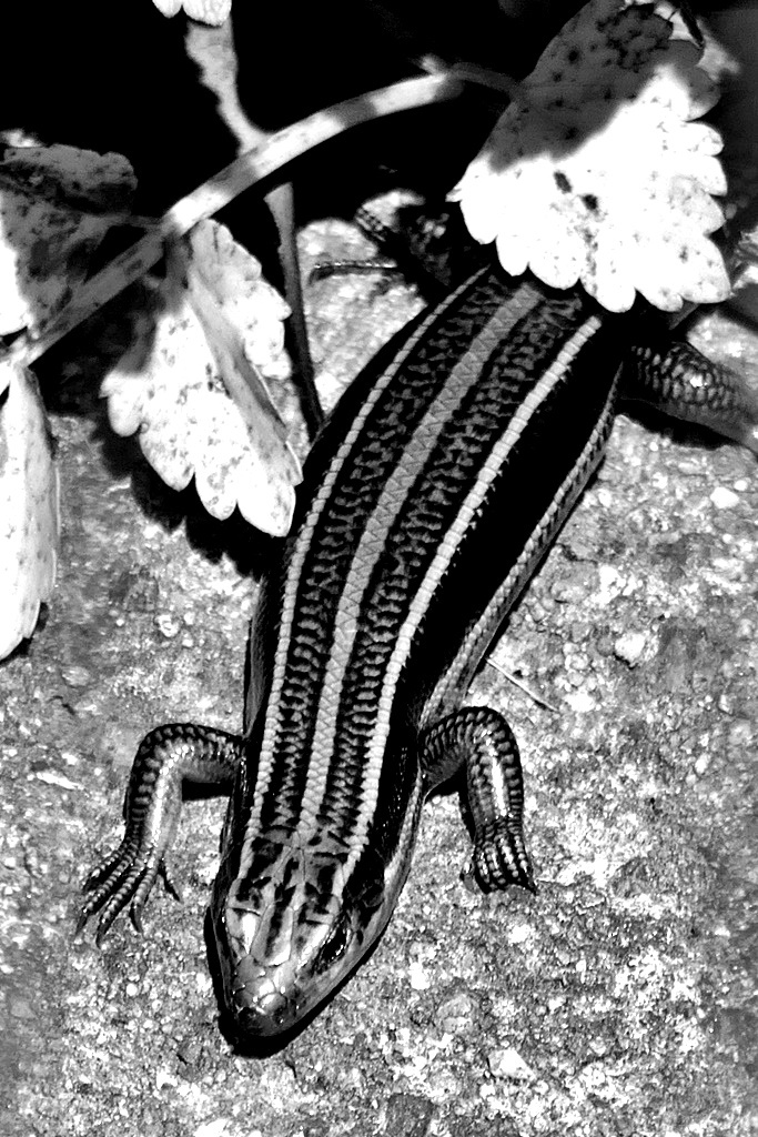 P12007301