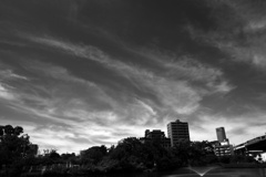 P1290773