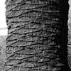 P1310102