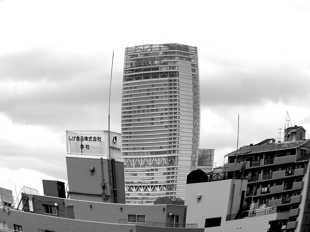 小太りハルカス