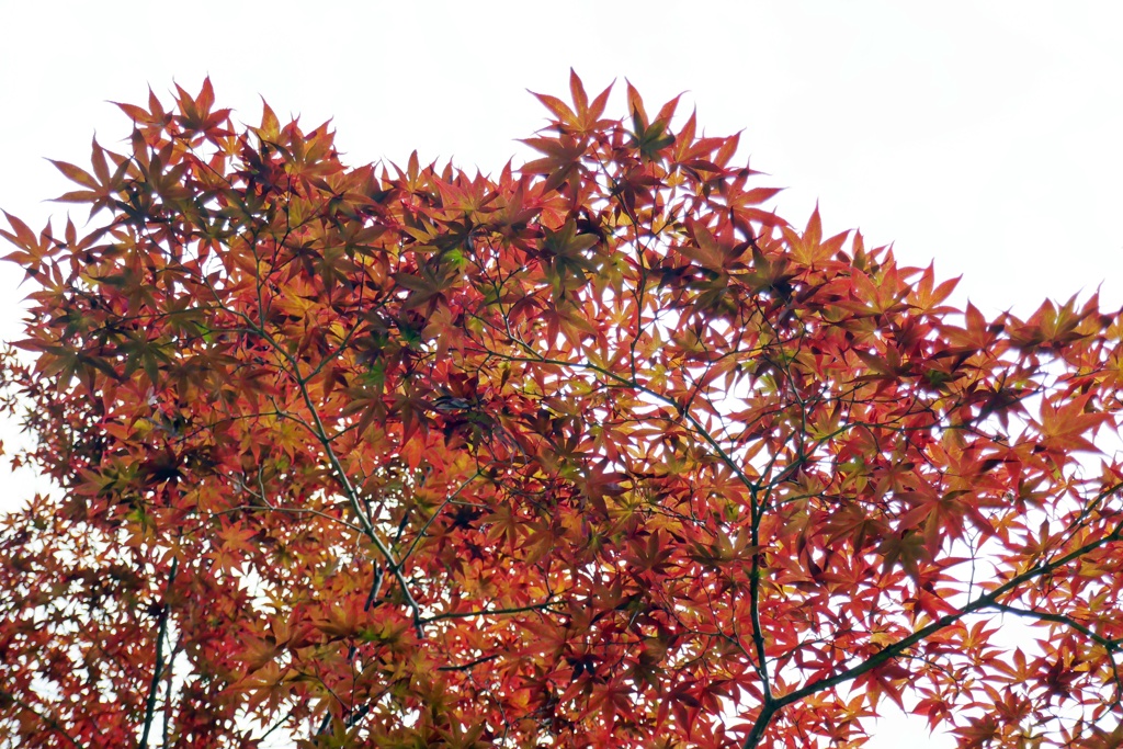 P1000495