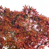 P1000495