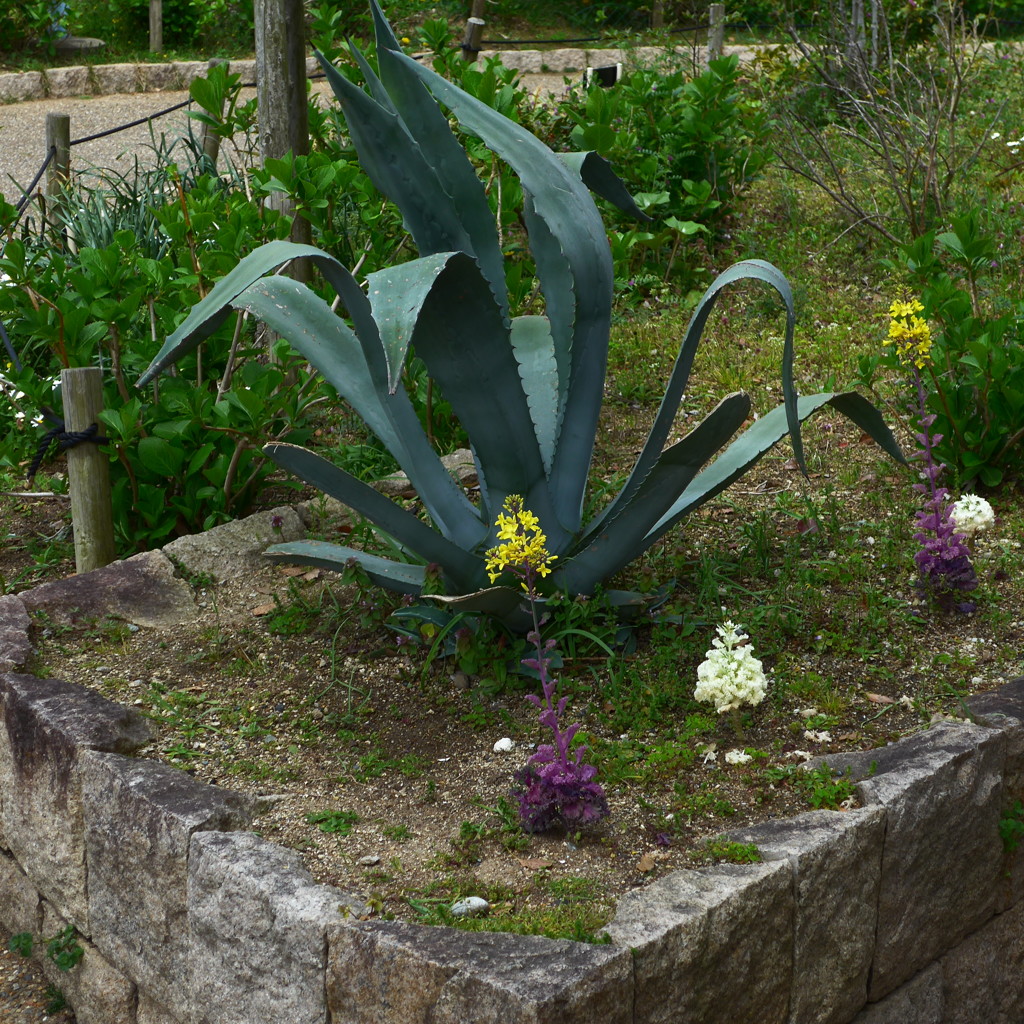 P1340290