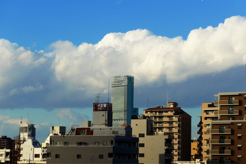 ハルカスと雲