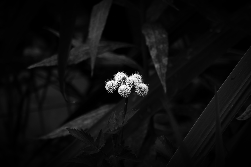 P1020573