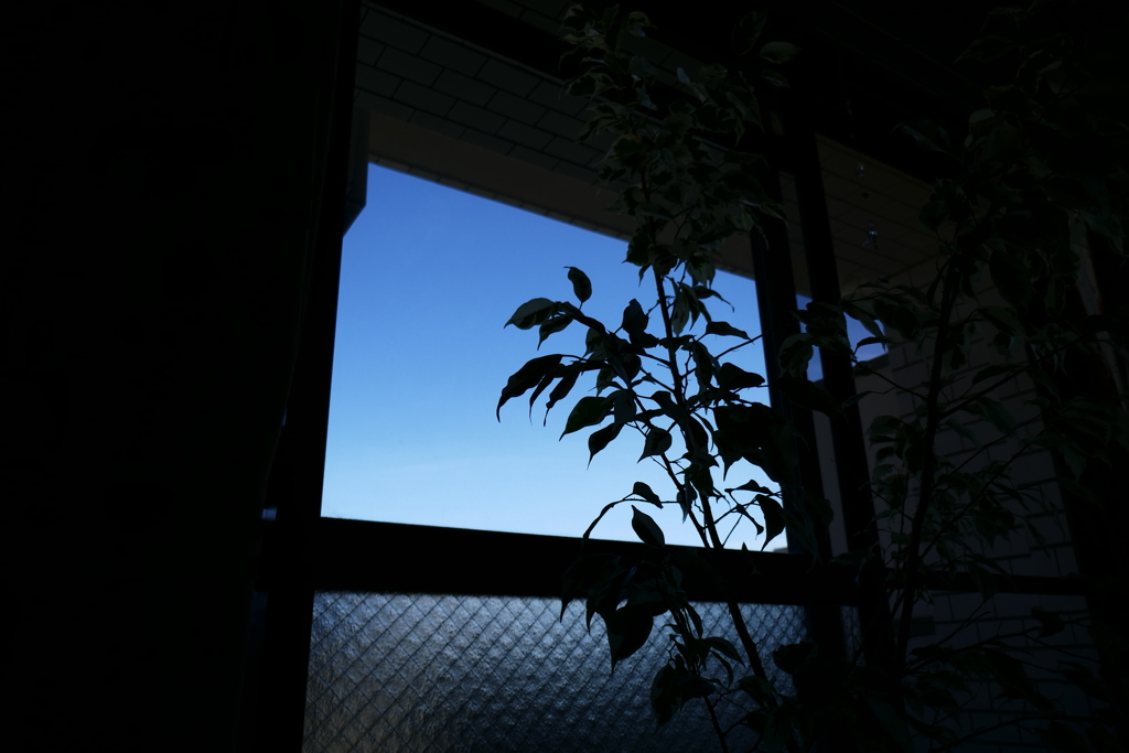 P1110725