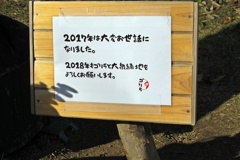 お正月だから・・・ (3)