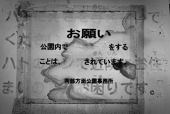 P1370218