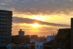 今年もよろしくお願い致します