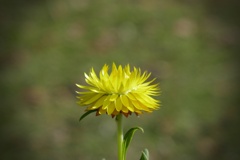 P1300323
