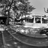 R0010238