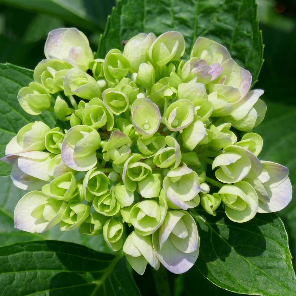 P1280825