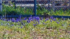 P1020429
