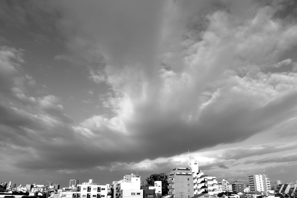 P1290914