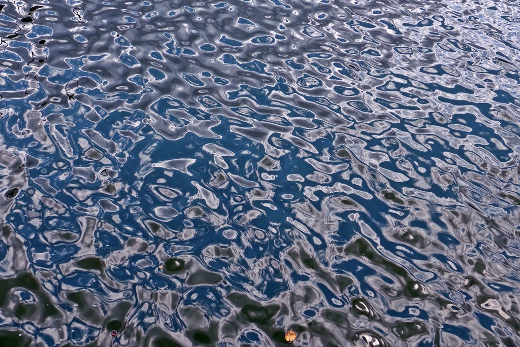 P1390972