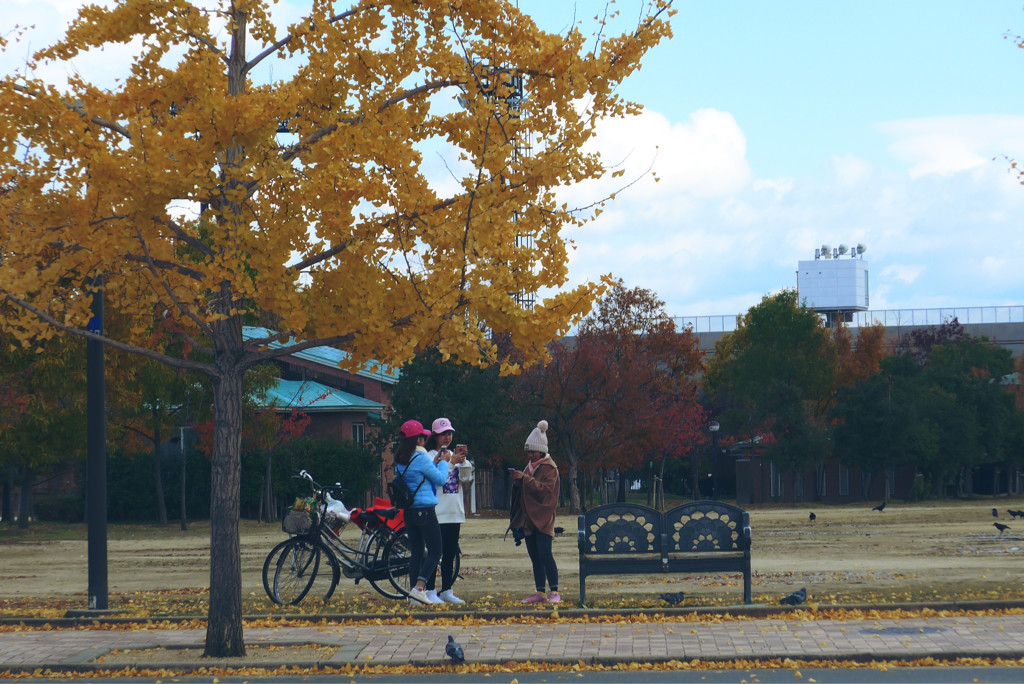 公園5