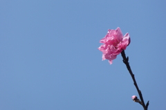 P1100475