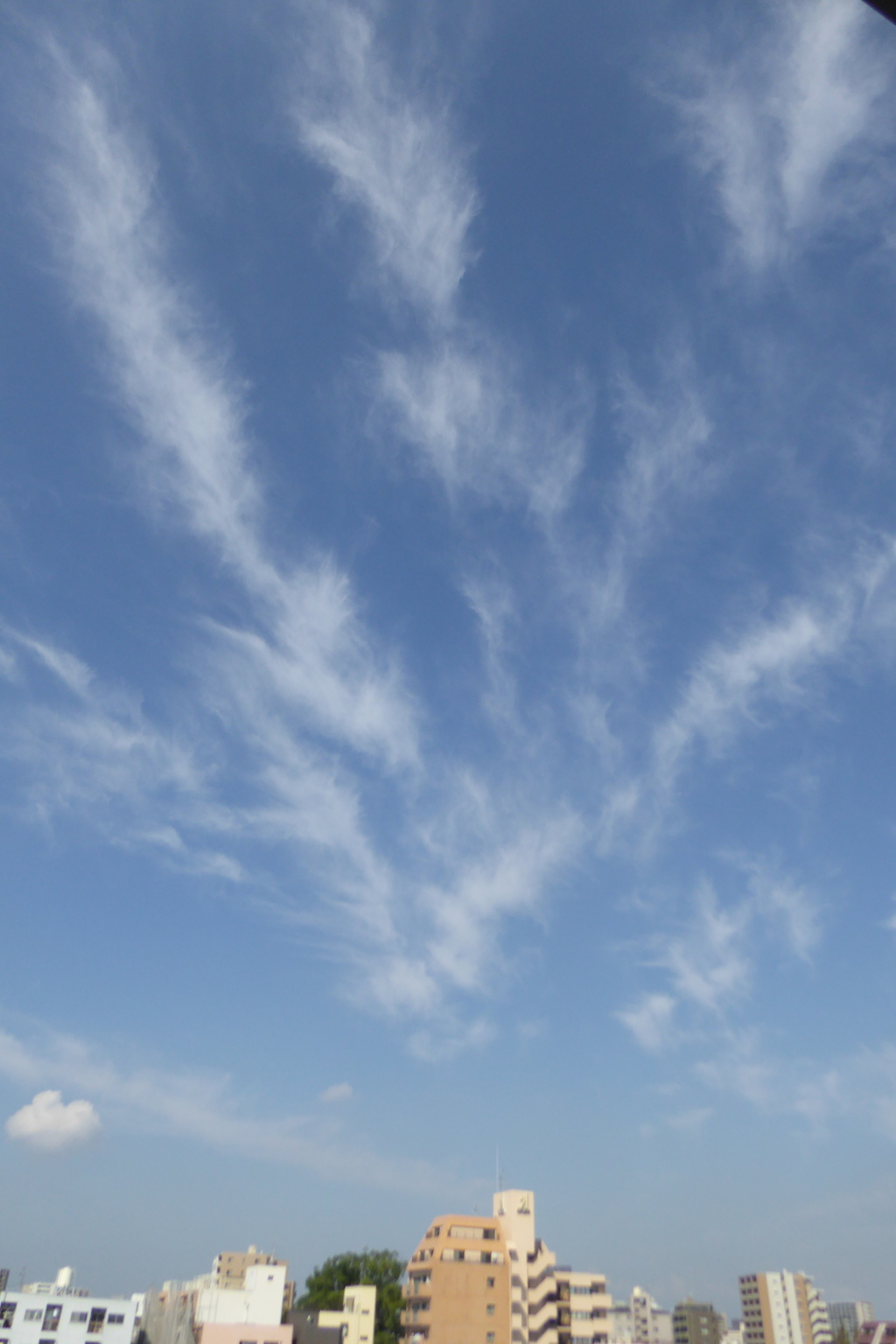 雲