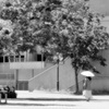 P1210308