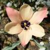 DSCF4691