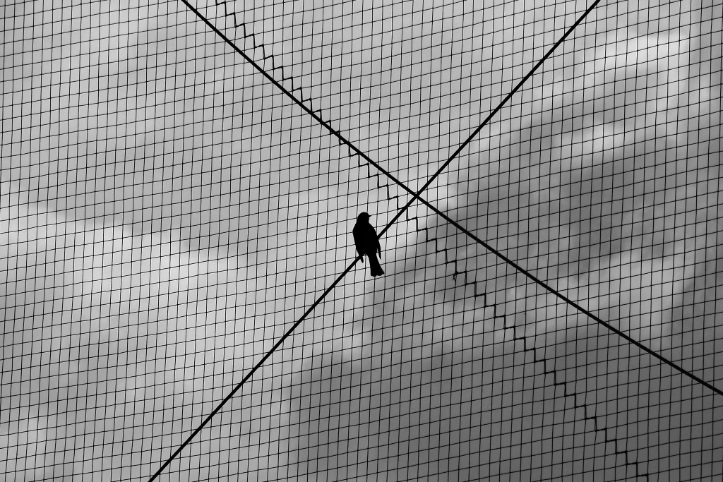 P1310670