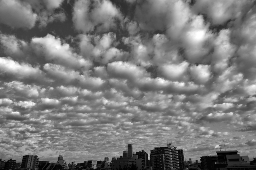 朝の空 (3)