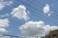 梅雨の晴れ間