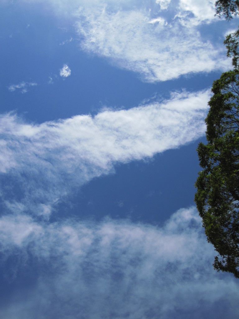 雲