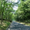 P1390006