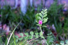 P1190614