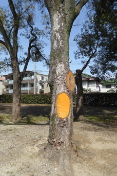 P1020344