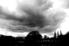 雲