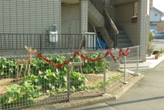 メリさんと暮れ済ます (4)