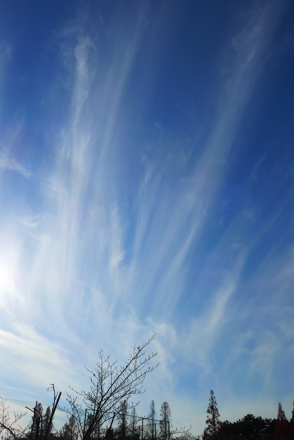 空